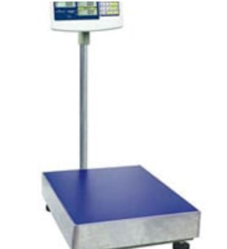 Platform Scale 300kg